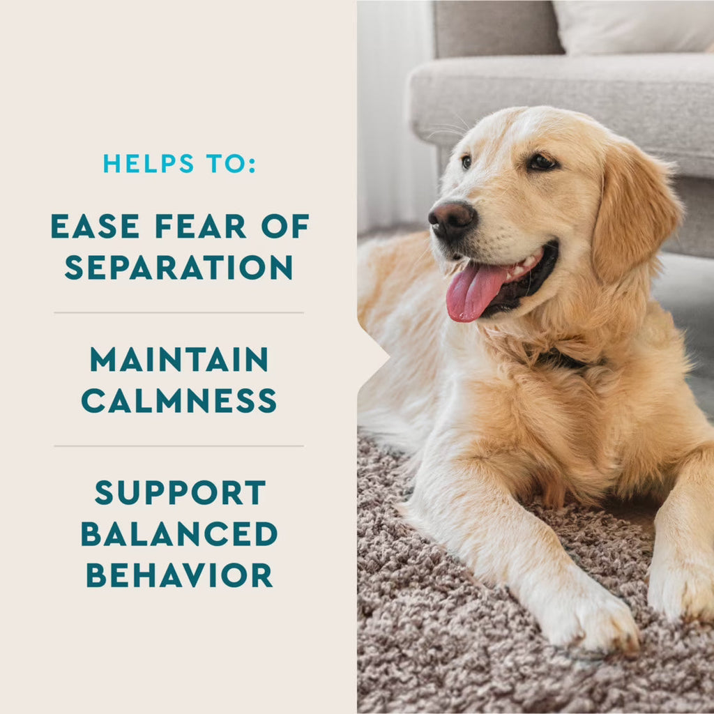 VetIQ Calming Soft Chews for Dogs – photo 4 of 7