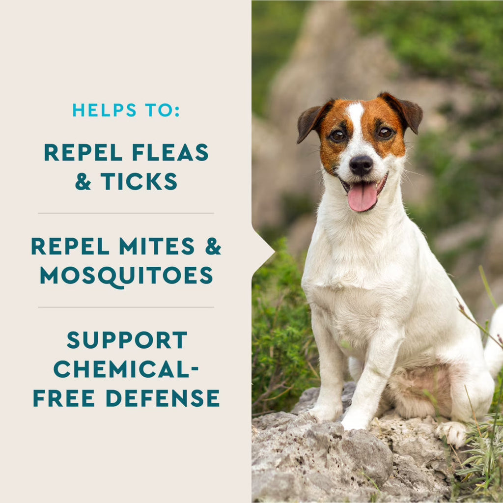 VetIQ Flea and Tick Support Soft Chews for Dogs – photo 4 of 6