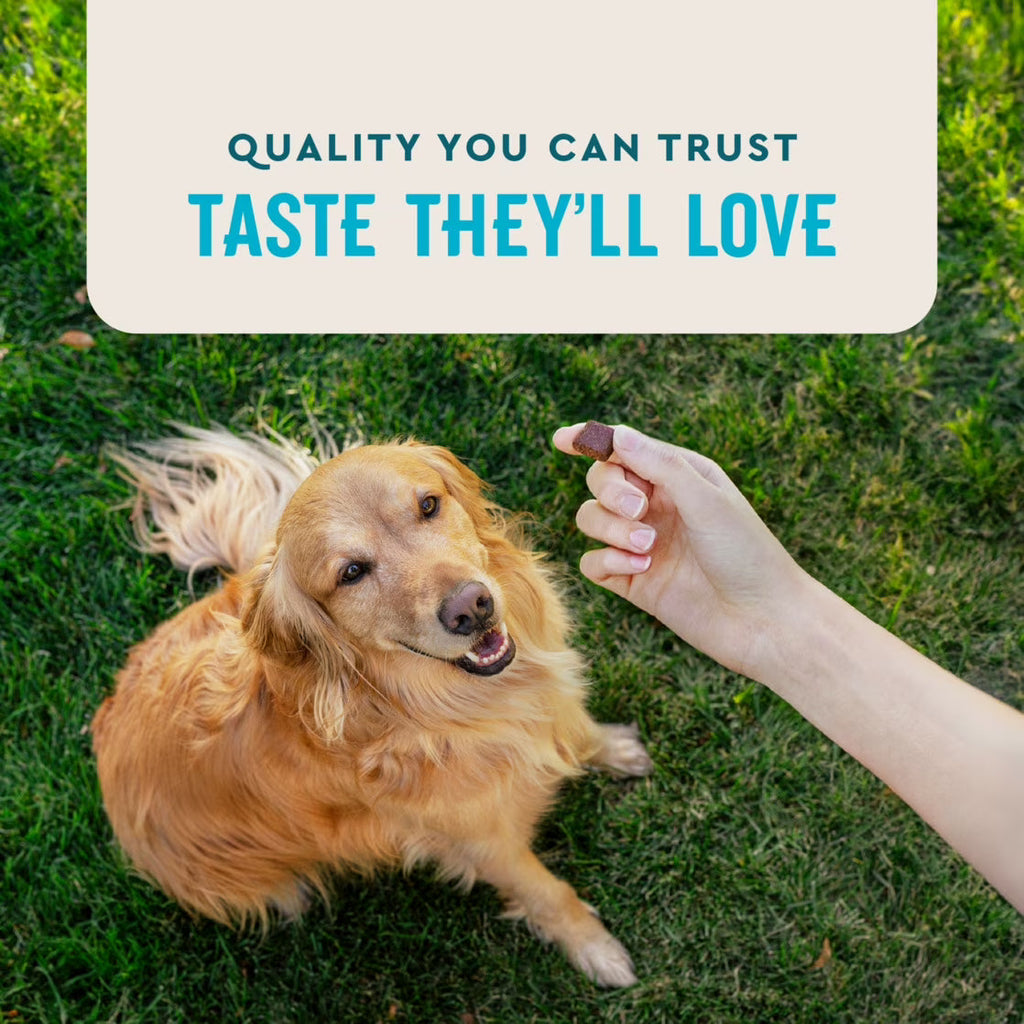 VetIQ Hip and Joint Soft Chews for Dogs – photo 7 of 8
