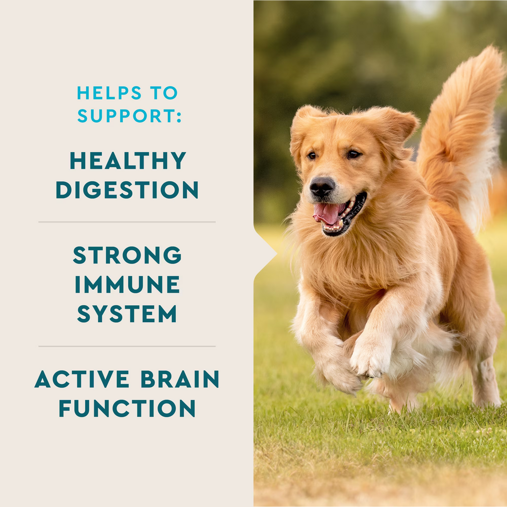 VetIQ Multivitamin Soft Chews for Dogs – photo 3 of 8