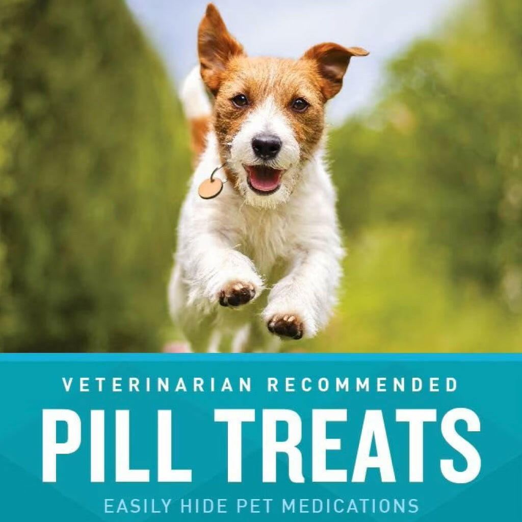 VetIQ Pill Treats Chicken Flavored Soft Chews – photo 6 of 6