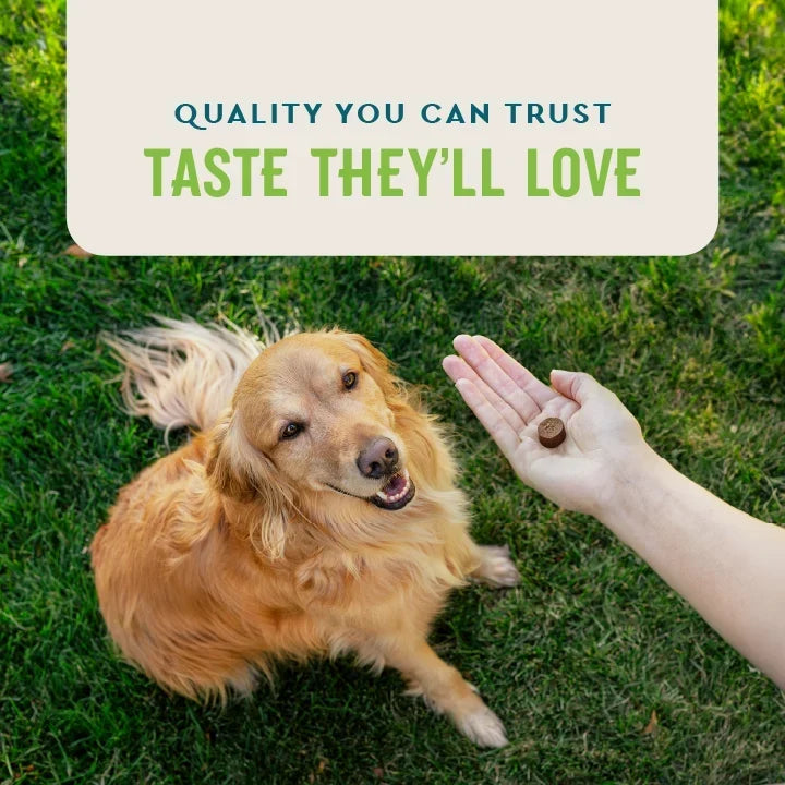 VetIQ Probiotic Soft Chews for Dogs – photo 8 of 9