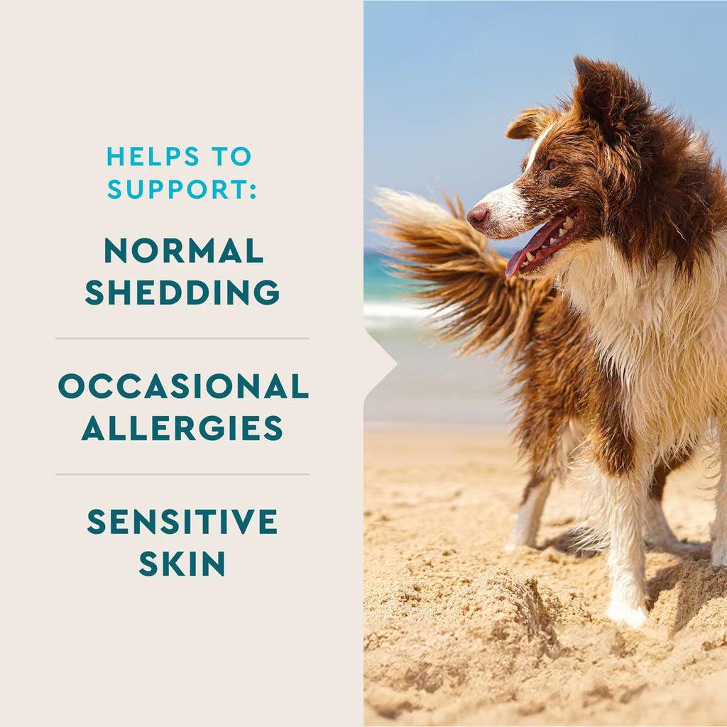 VetIQ Skin and Coat Soft Chews for Dogs – photo 3 of 9
