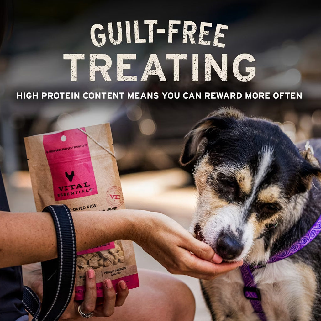 Vital Essentials Freeze-Dried Beef Bites Dog Treats – photo 10 of 10