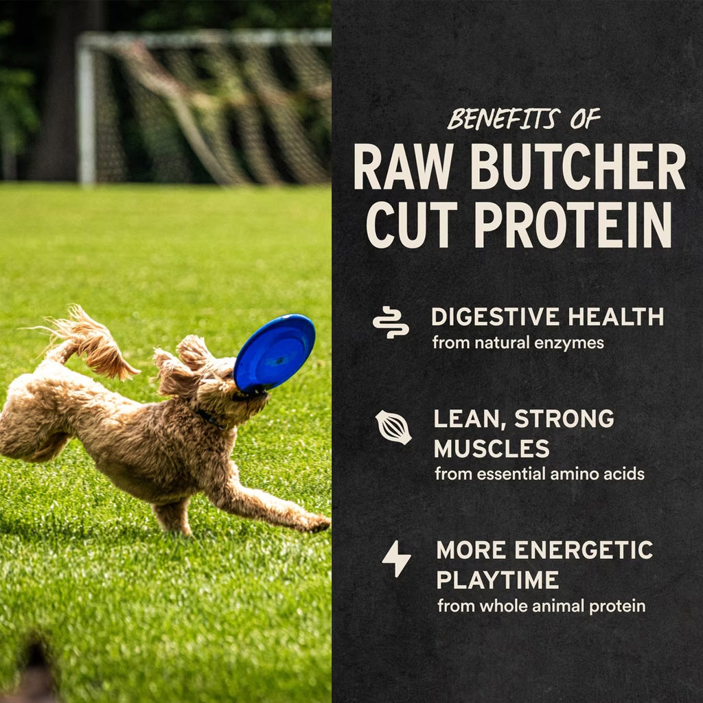 Vital Essentials Freeze-Dried Beef Bites Dog Treats – photo 5 of 10
