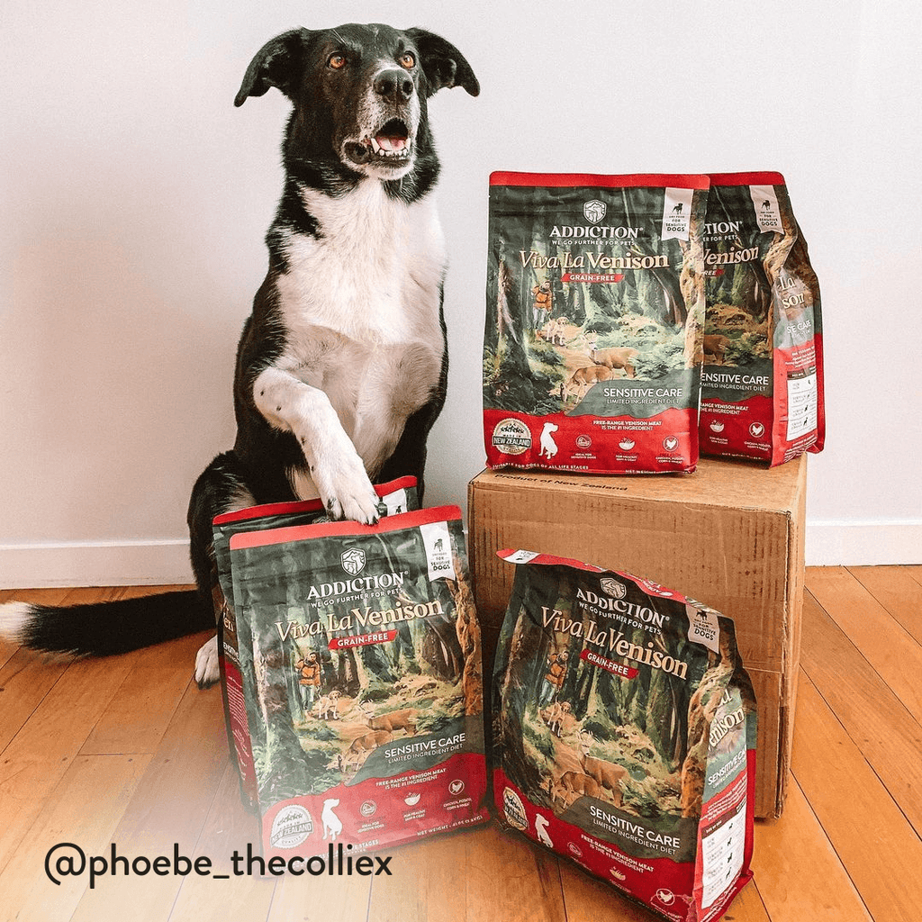 Viva La Venison Dry Dog Food – alternate view 11