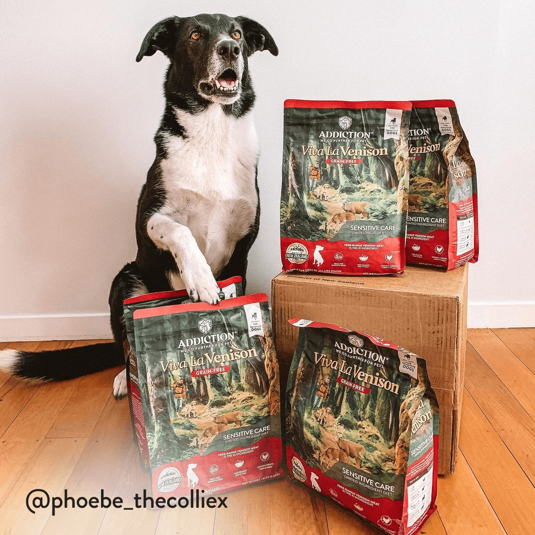 Viva La Venison Dry Dog Food – alternate view 11