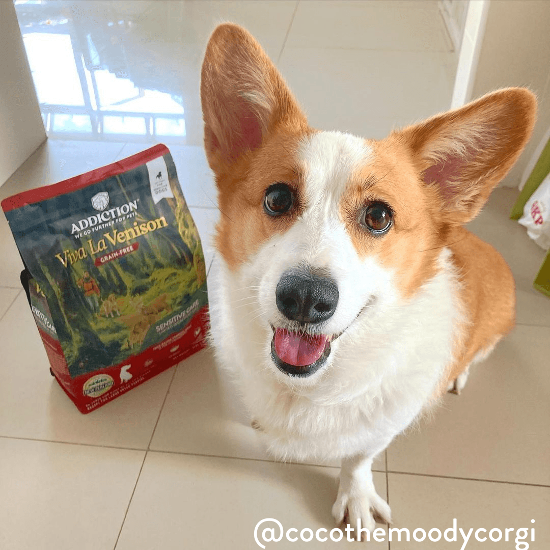 Viva La Venison Dry Dog Food – alternate view 10