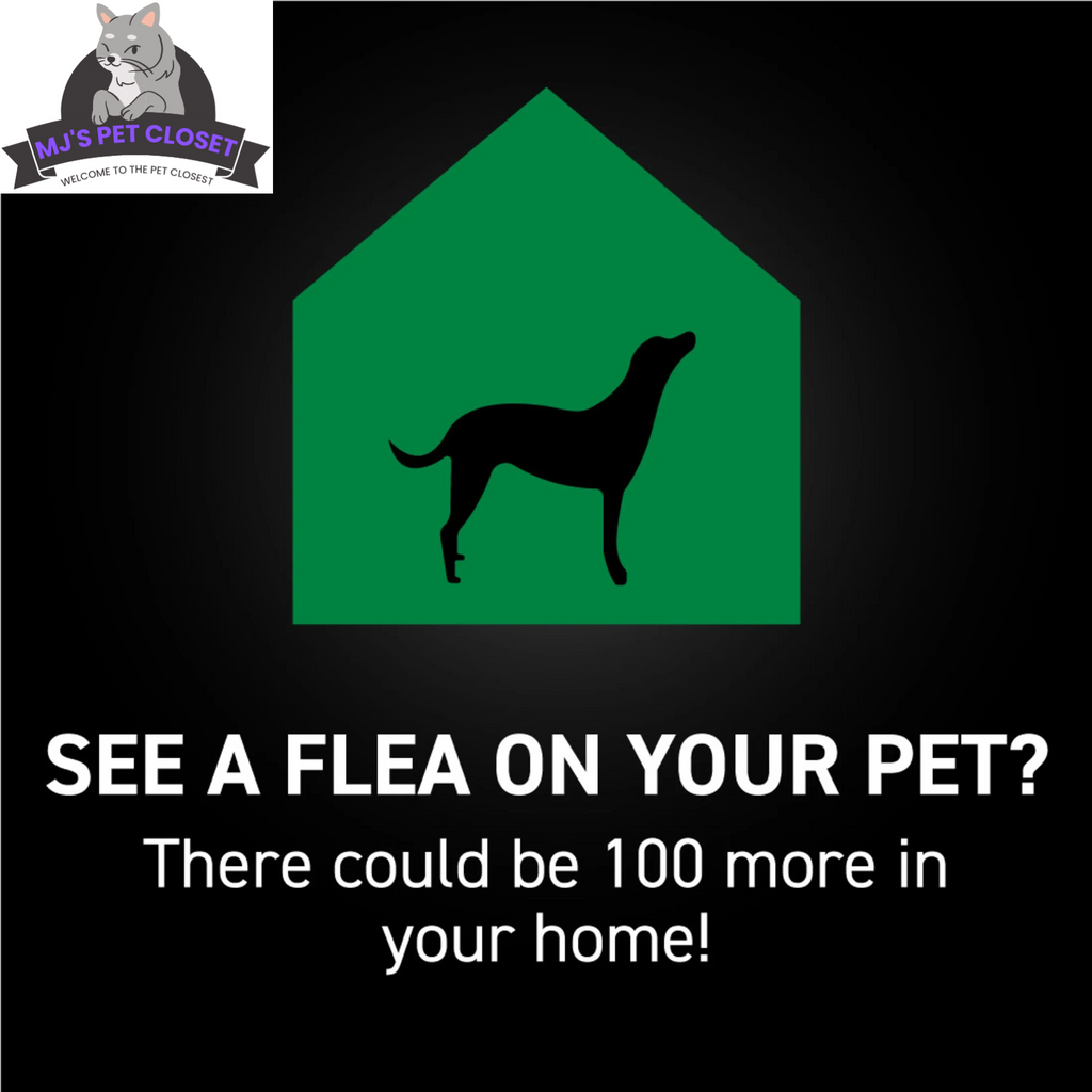 Protect Your Dog from Fleas  Ticks with NEXTSTAR Fast-Acting 3-Month S, view 9