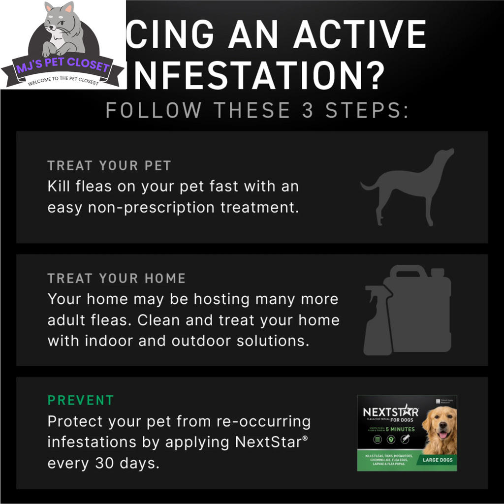 Protect Your Dog from Fleas  Ticks with NEXTSTAR Fast-Acting 3-Month S, packaging