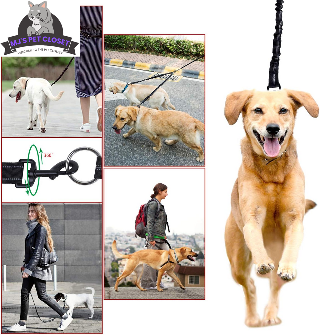 Walk Your Dogs in Style Check Out Our 360 Swivel Double Dog Leash No T, close-up