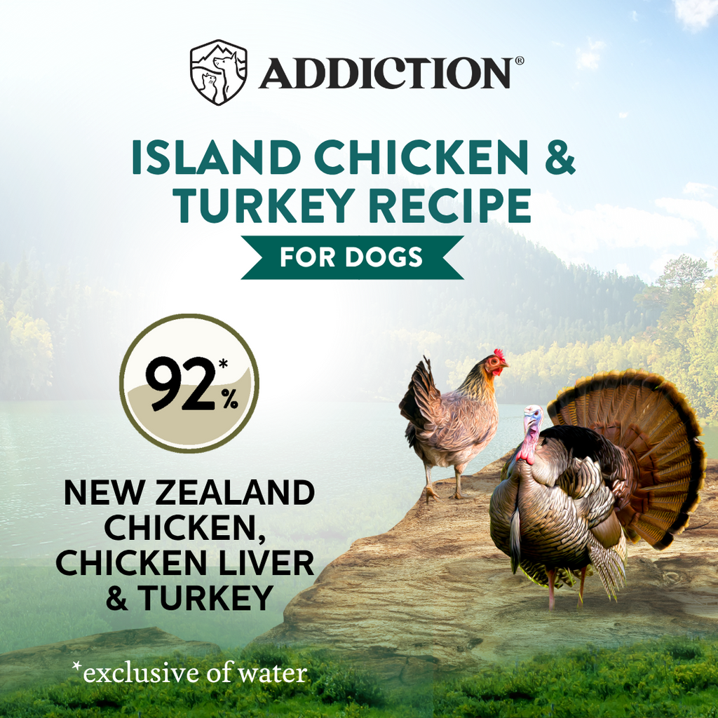 Wild Islands Island chicken and turkey canned dog food product image 2