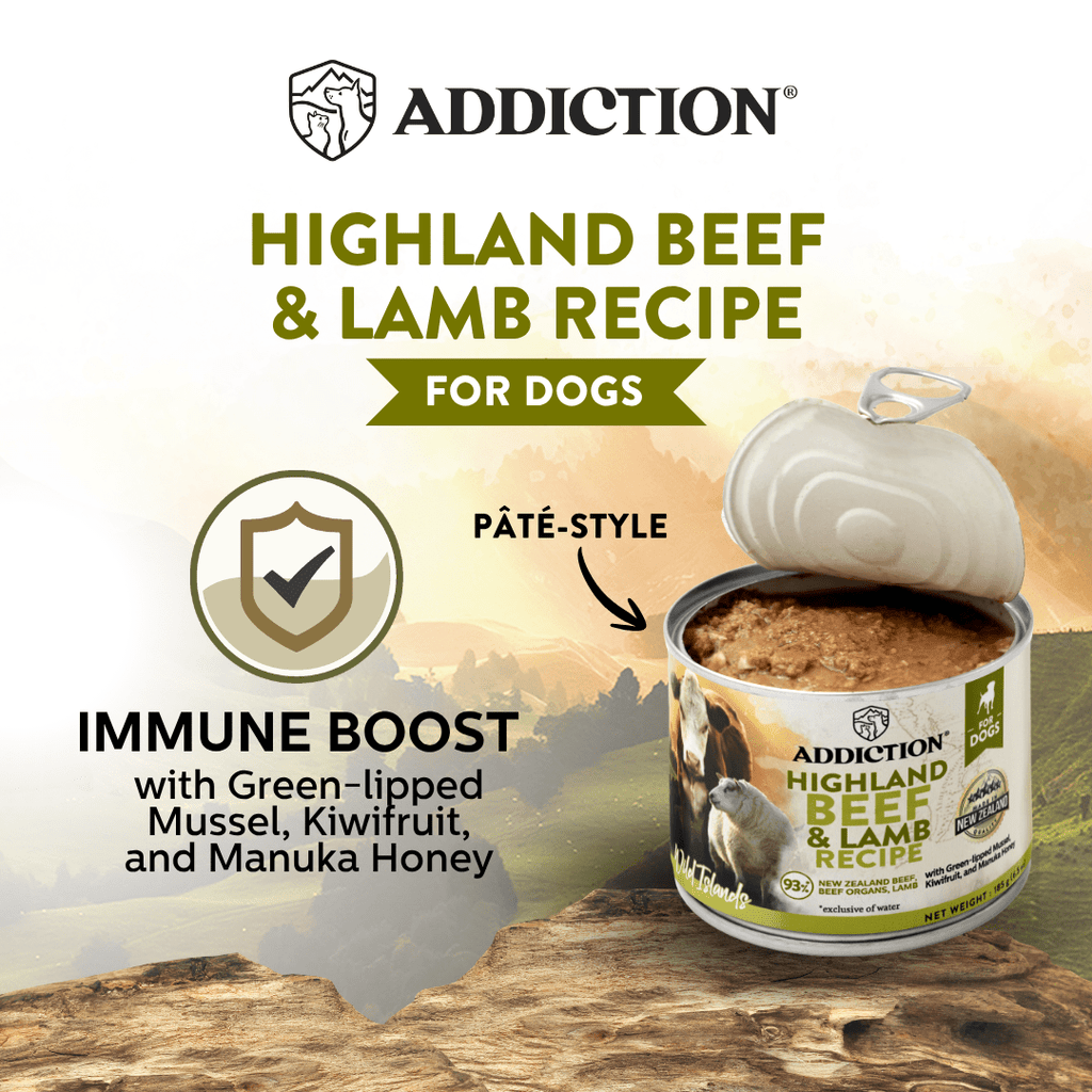 Wild Islands Highland beef and lamb canned dog food product image 3