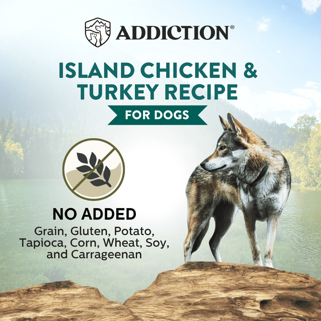 Wild Islands Island chicken and turkey canned dog food product image 4
