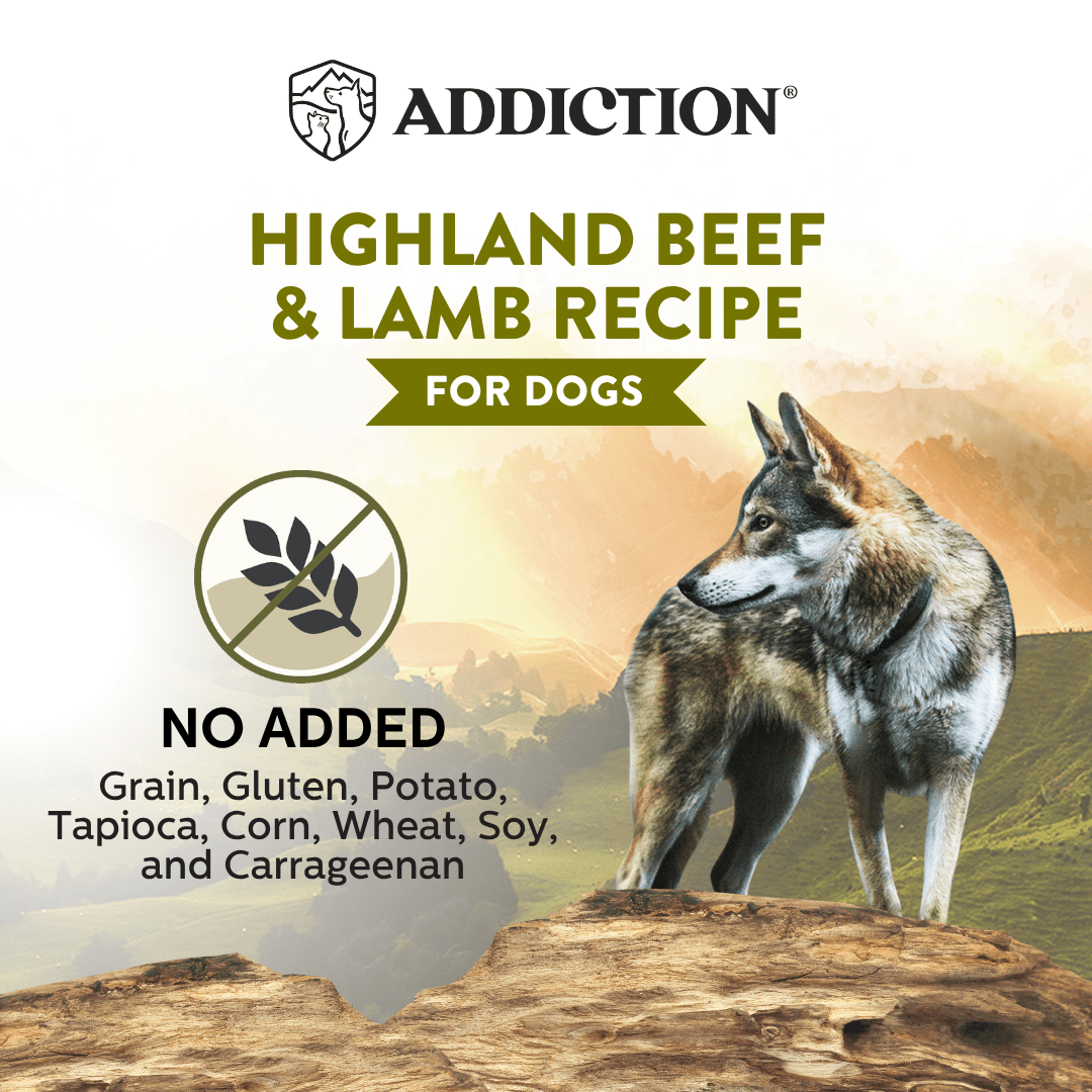Wild Islands Highland beef and lamb canned dog food product image 4
