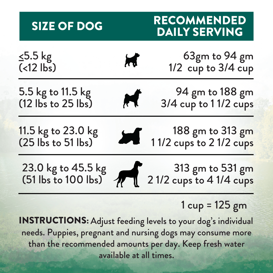 Wild Islands Island Bird Premium Duck Turkey & Chicken Dry Dog Food – alternate view 5