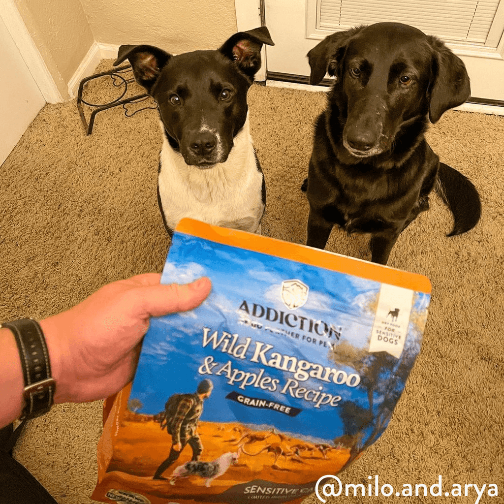 Wild Kangaroo & Apples Recipe Dry Dog Food – alternate view 12