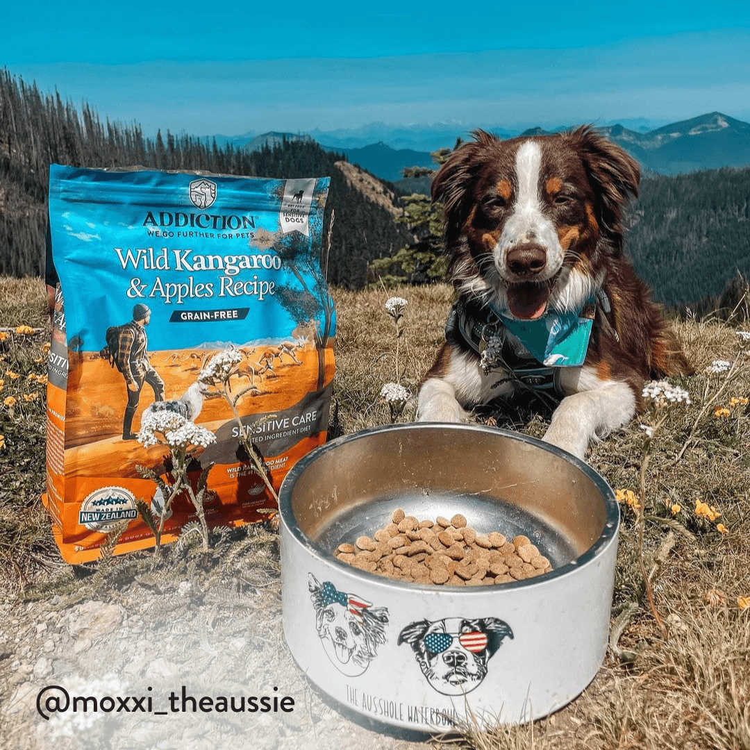 Wild Kangaroo & Apples Recipe Dry Dog Food – alternate view 11