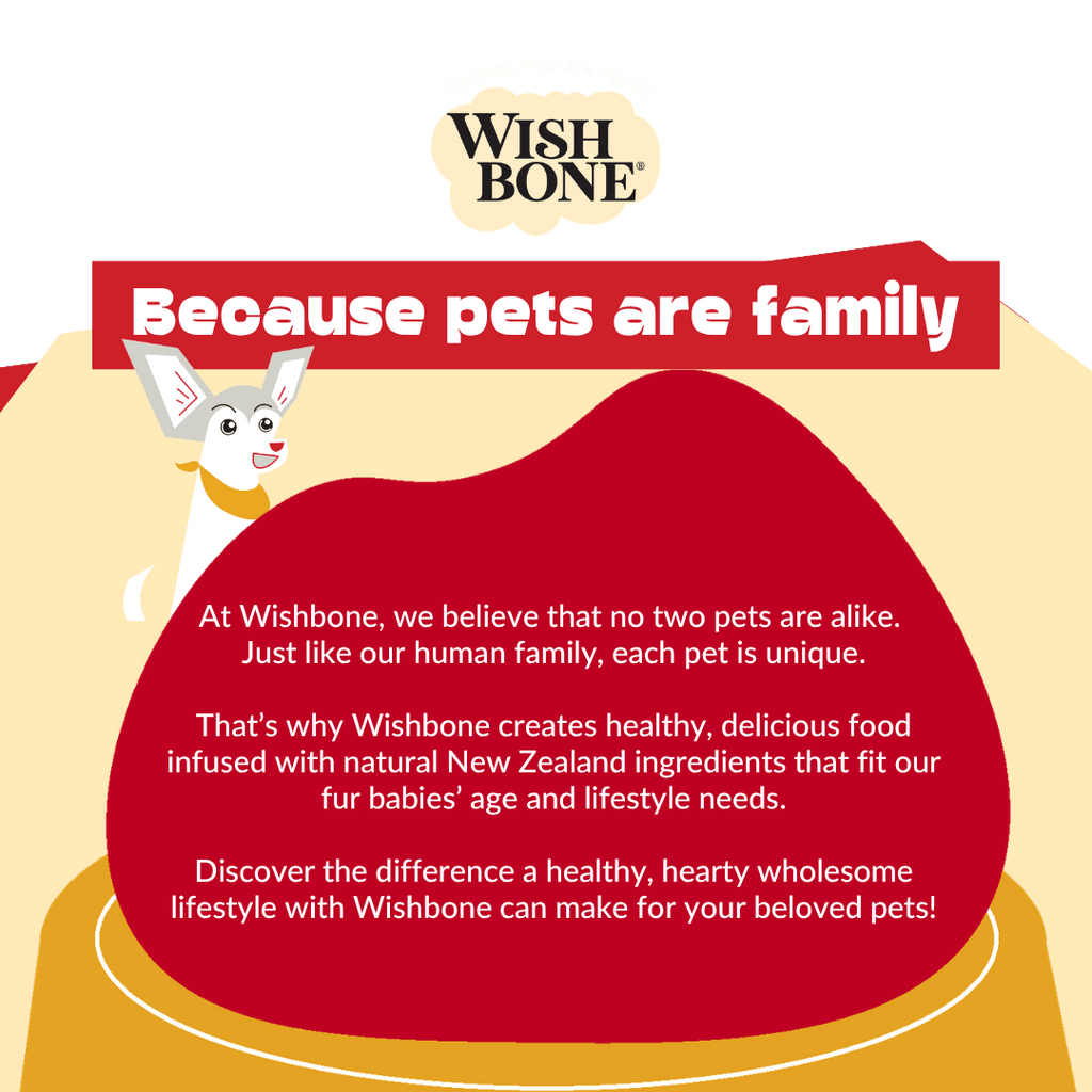 Wishbone air-dried lamb dog food product image 10