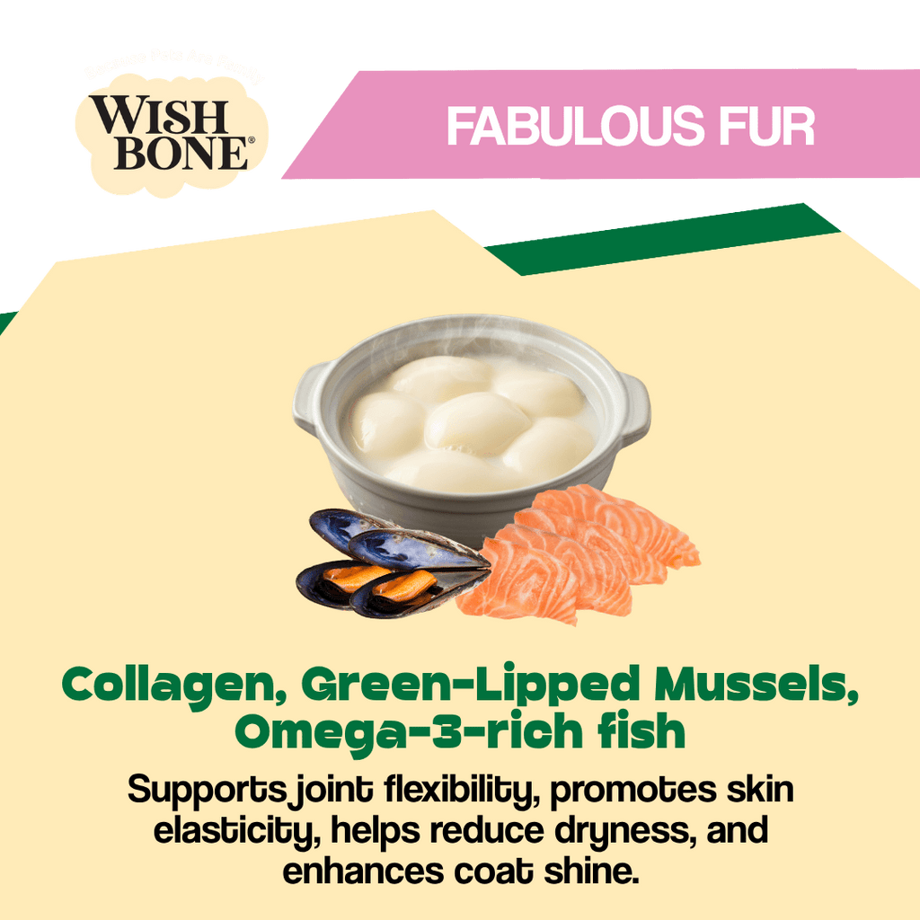 Wishbone ocean fish and lamb air-dried dog food product image 3
