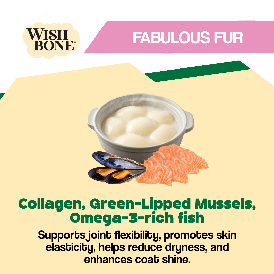 Wishbone ocean fish and lamb air-dried dog food product image 3