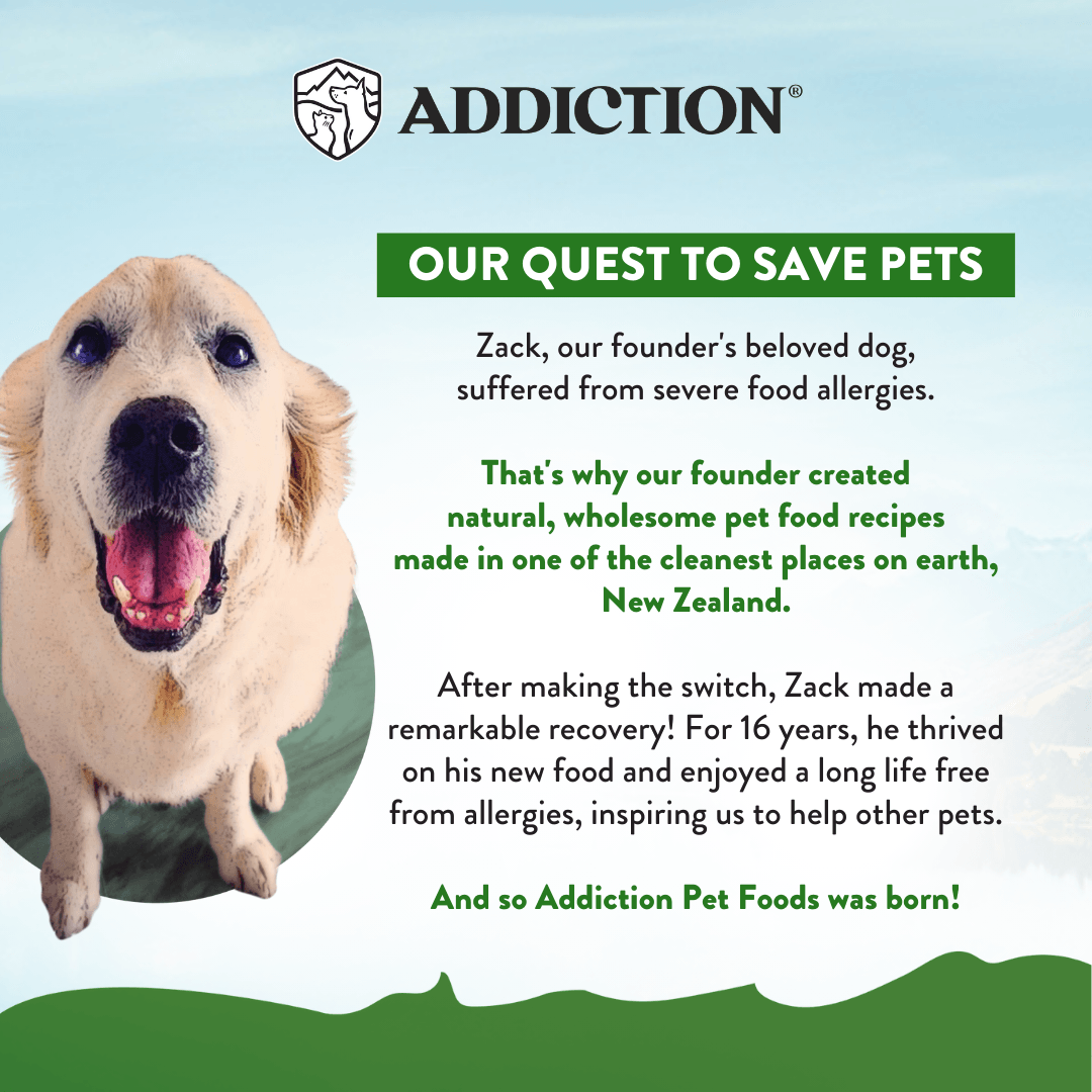 Zen Vegetarian Dry Dog Food – alternate view 9