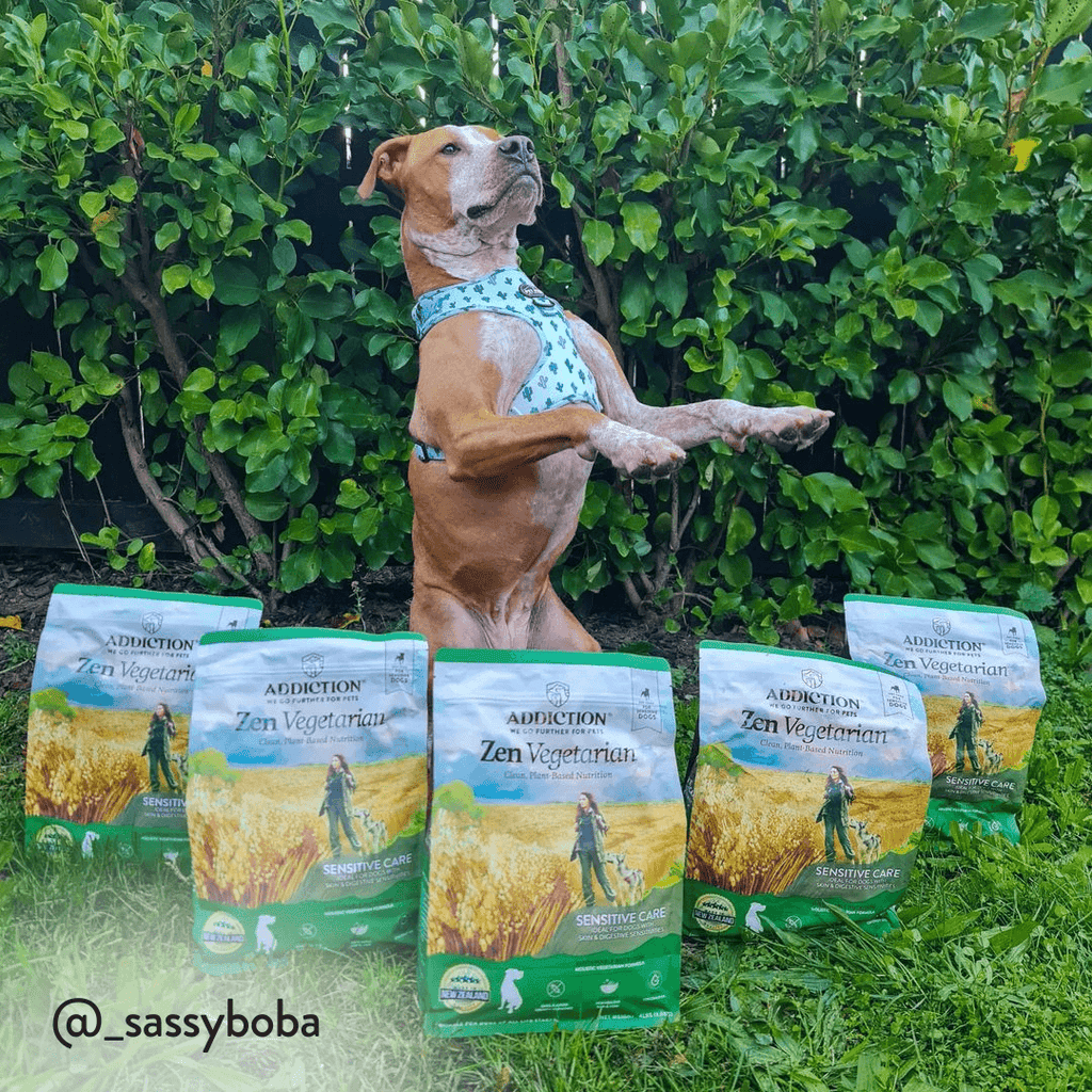 Zen Vegetarian Dry Dog Food – alternate view 10
