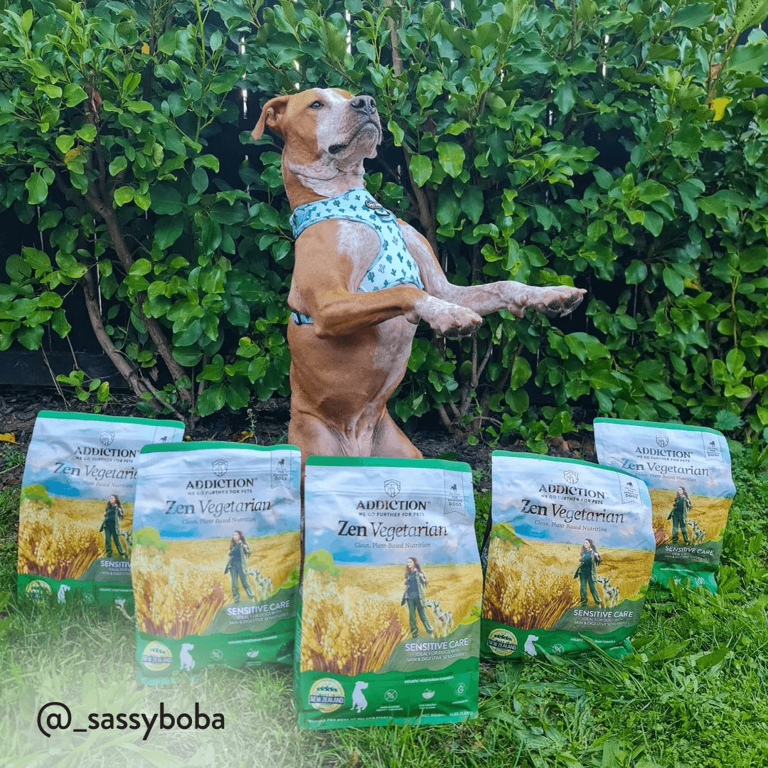 Zen Vegetarian Dry Dog Food – alternate view 10