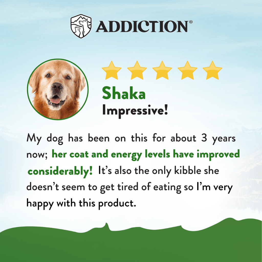 Zen Vegetarian Dry Dog Food – alternate view 4
