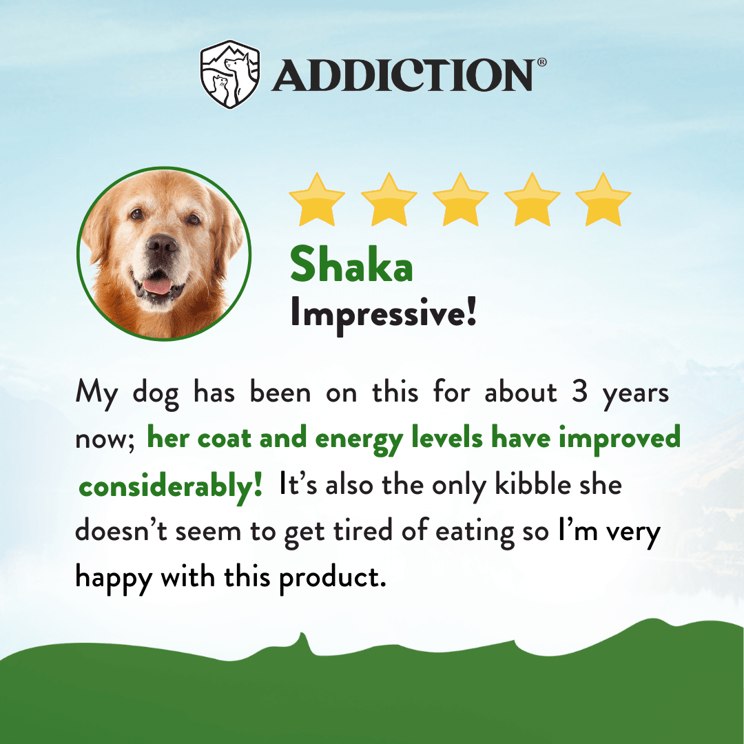 Zen Vegetarian Dry Dog Food – alternate view 4