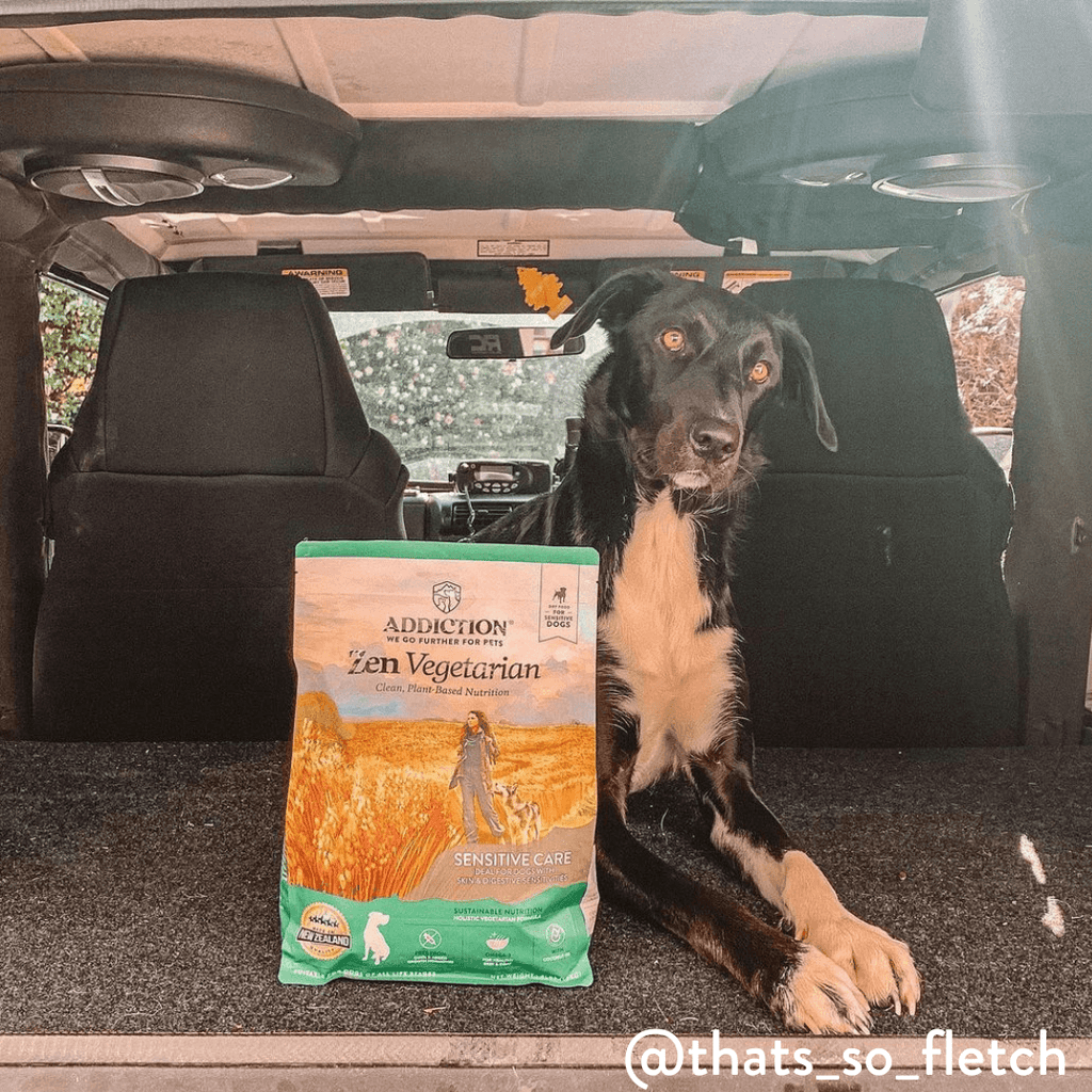 Zen Vegetarian Dry Dog Food – alternate view 11