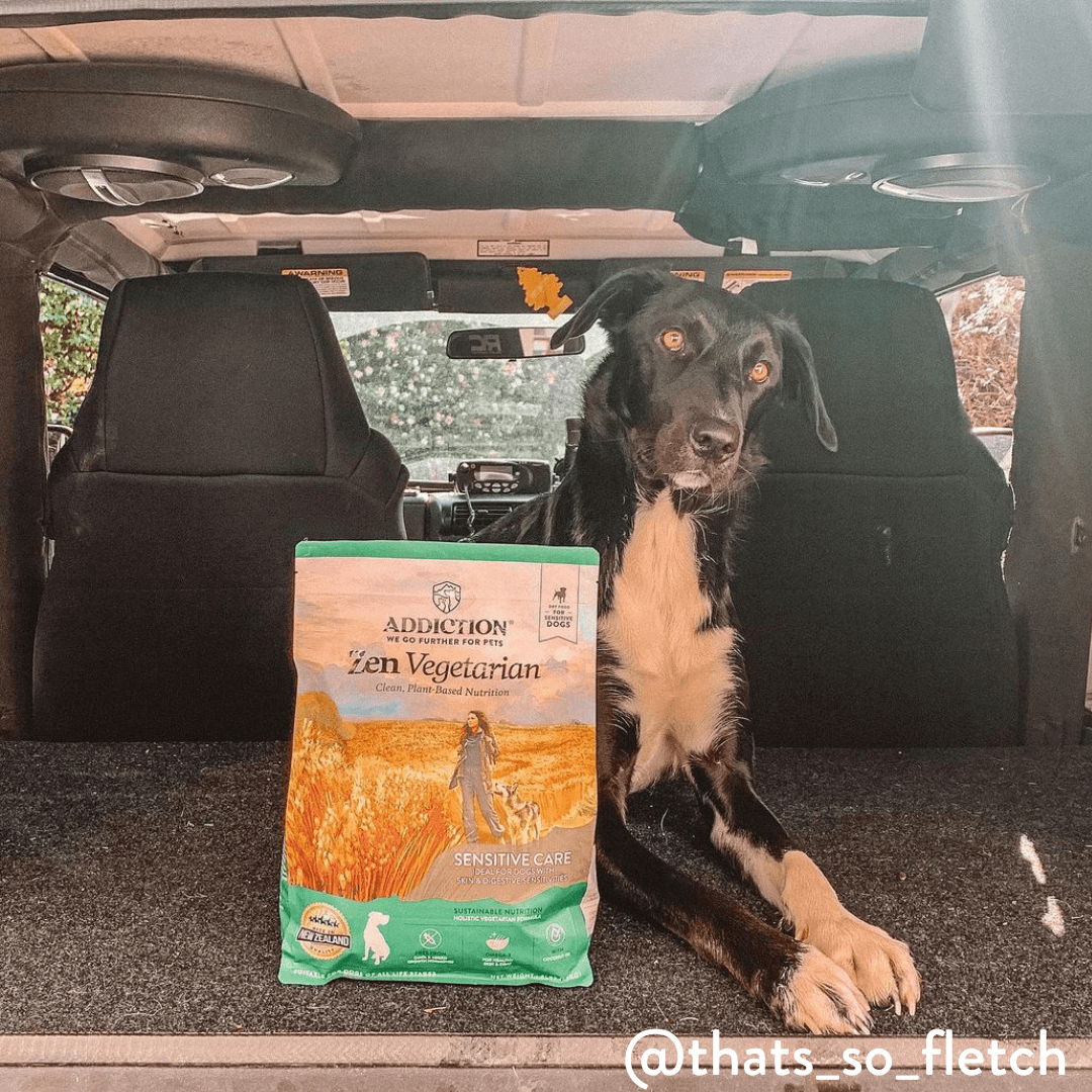 Zen Vegetarian Dry Dog Food – alternate view 11