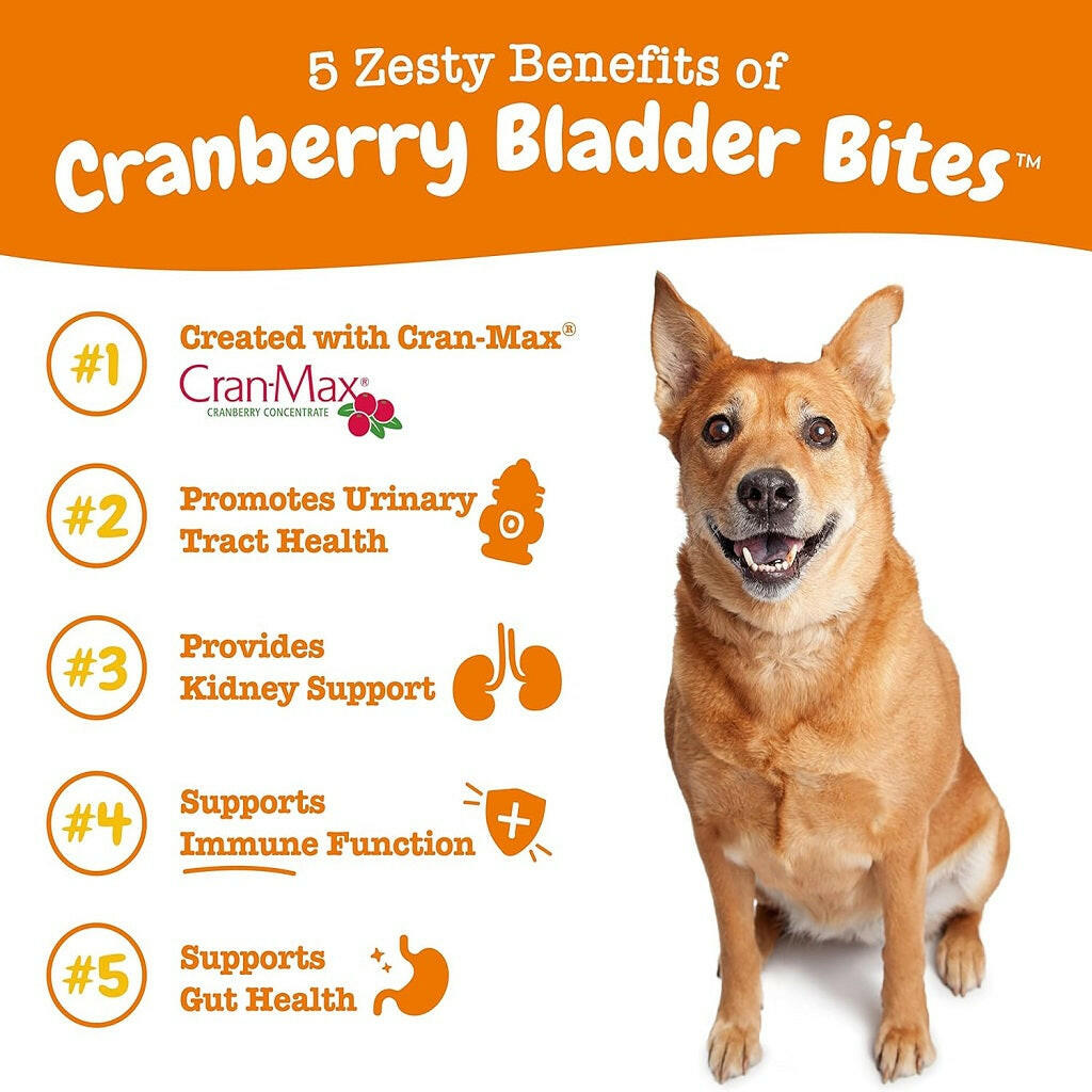 Zesty Paws Cranberry Bladder Bites Bacon Soft Chews – photo 7 of 9