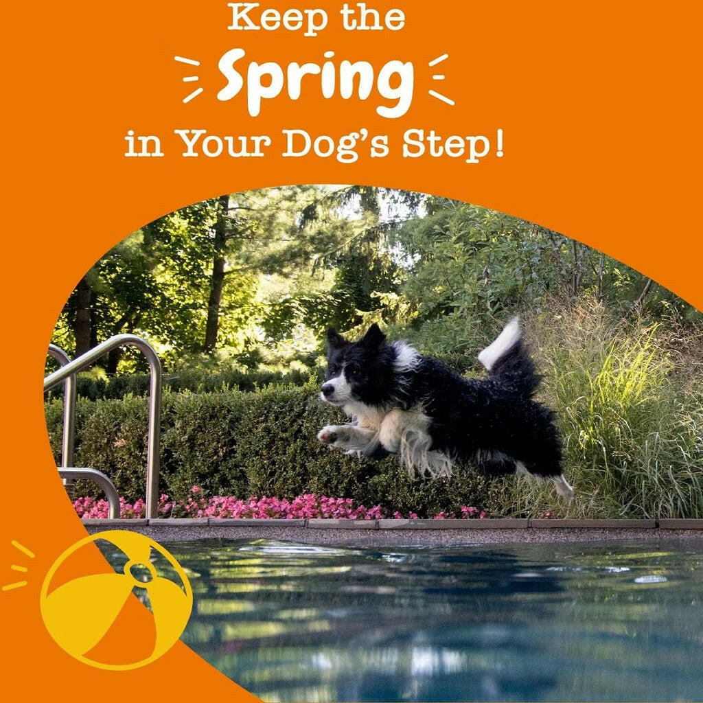 Zesty Paws Hip and Joint Mobility Bites Duck – photo 7 of 9