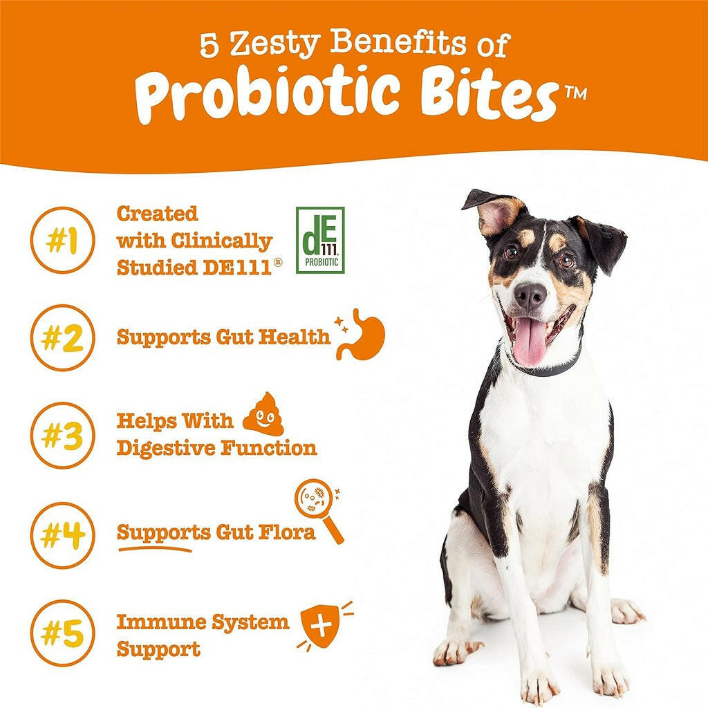 Zesty Paws Probiotic Bites Pumpkin Soft Chews – photo 2 of 7
