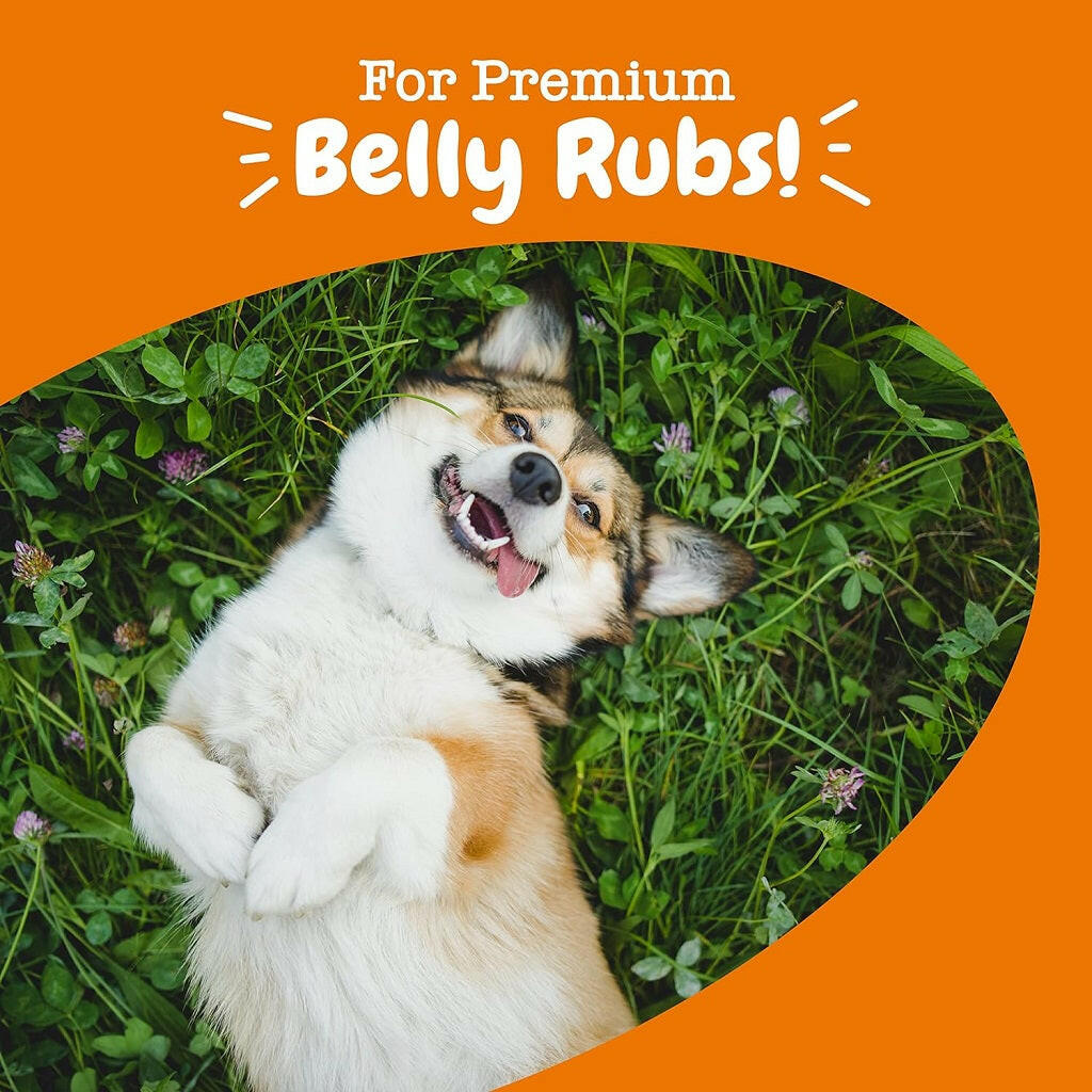 Zesty Paws Probiotic Bites Pumpkin Soft Chews – photo 5 of 7