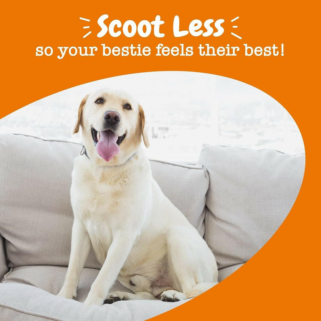 Zesty Paws Scoot Away Bites Chicken Chews – photo 5 of 8