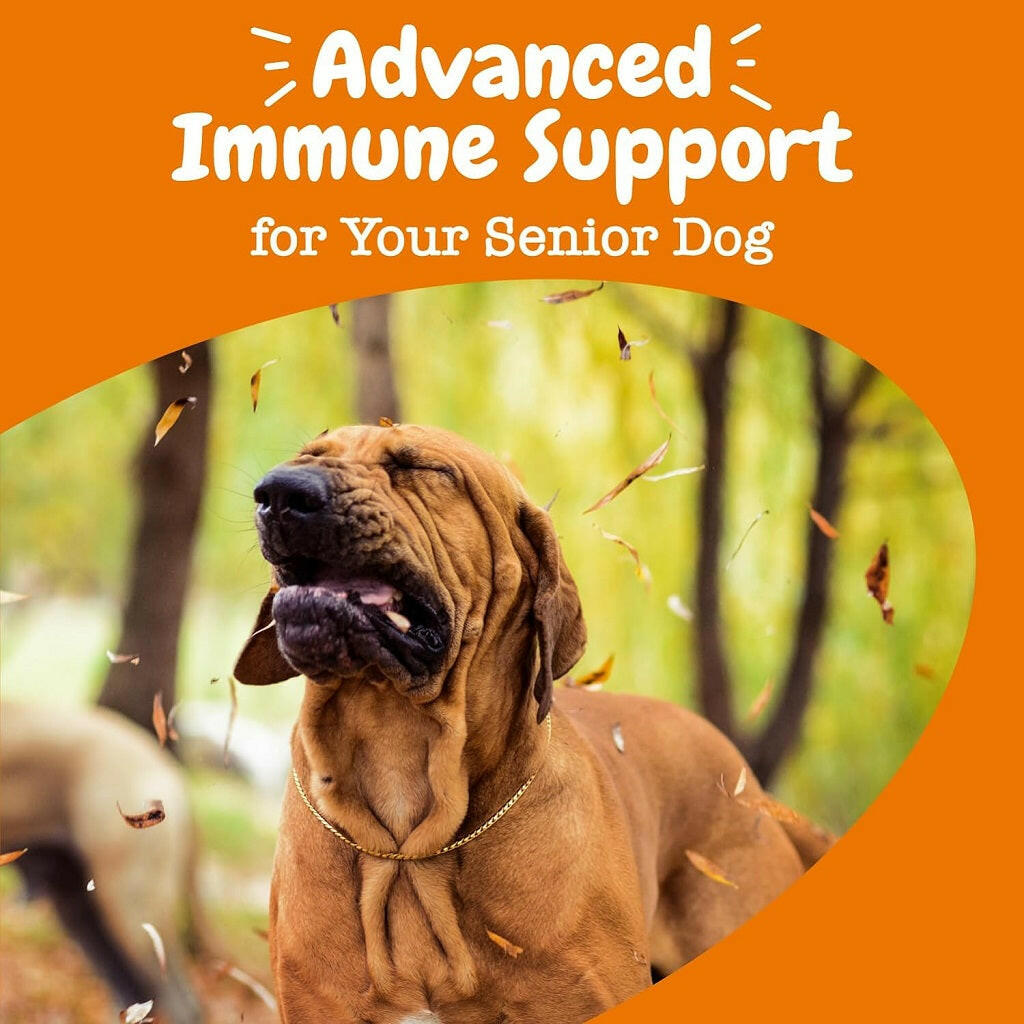 Zesty Paws Senior Advanced Aller-Immune Bites Salmon – photo 6 of 8