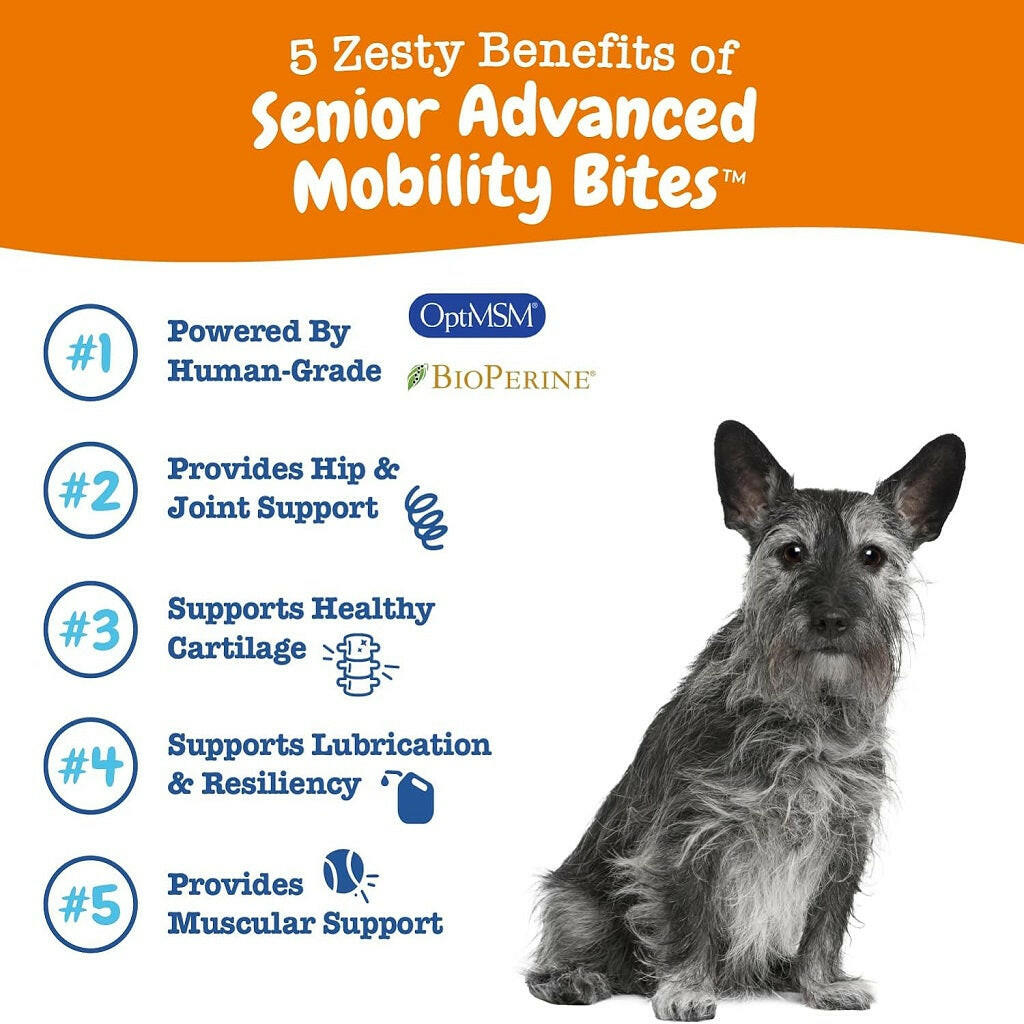 Zesty Paws Senior Advanced Mobility Bites Chicken – photo 2 of 7