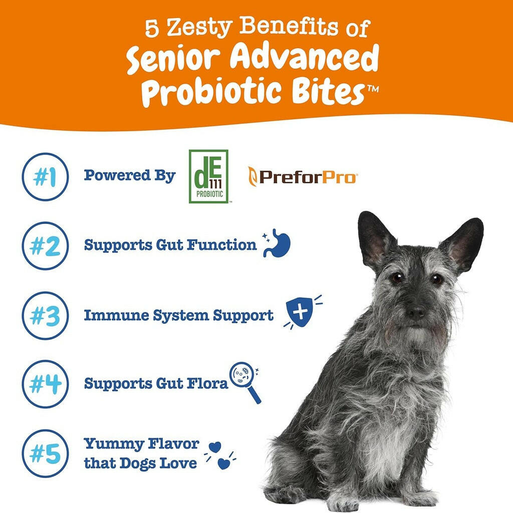 Zesty Paws Senior Advanced Probiotic Bites Chicken – photo 2 of 8