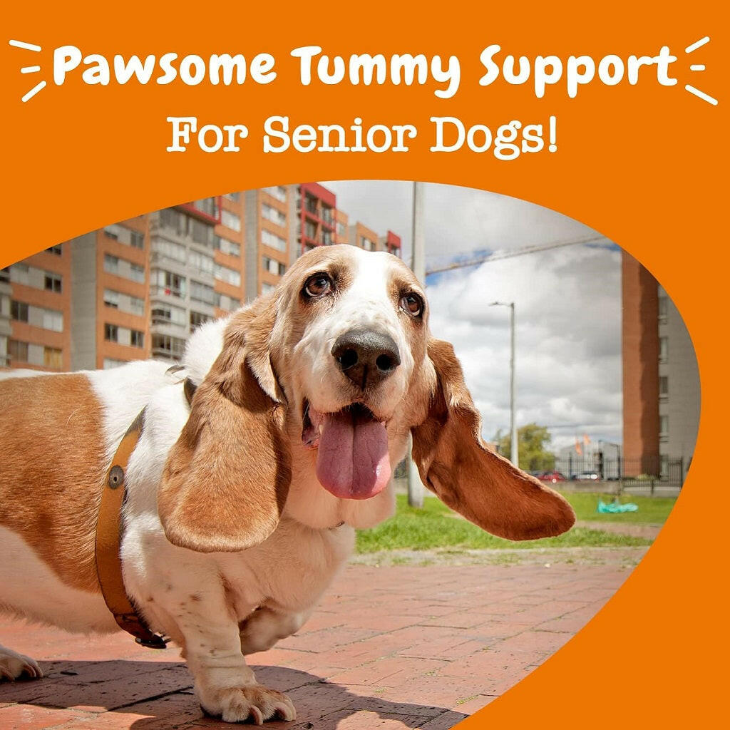 Zesty Paws Senior Advanced Probiotic Bites Chicken – photo 5 of 8