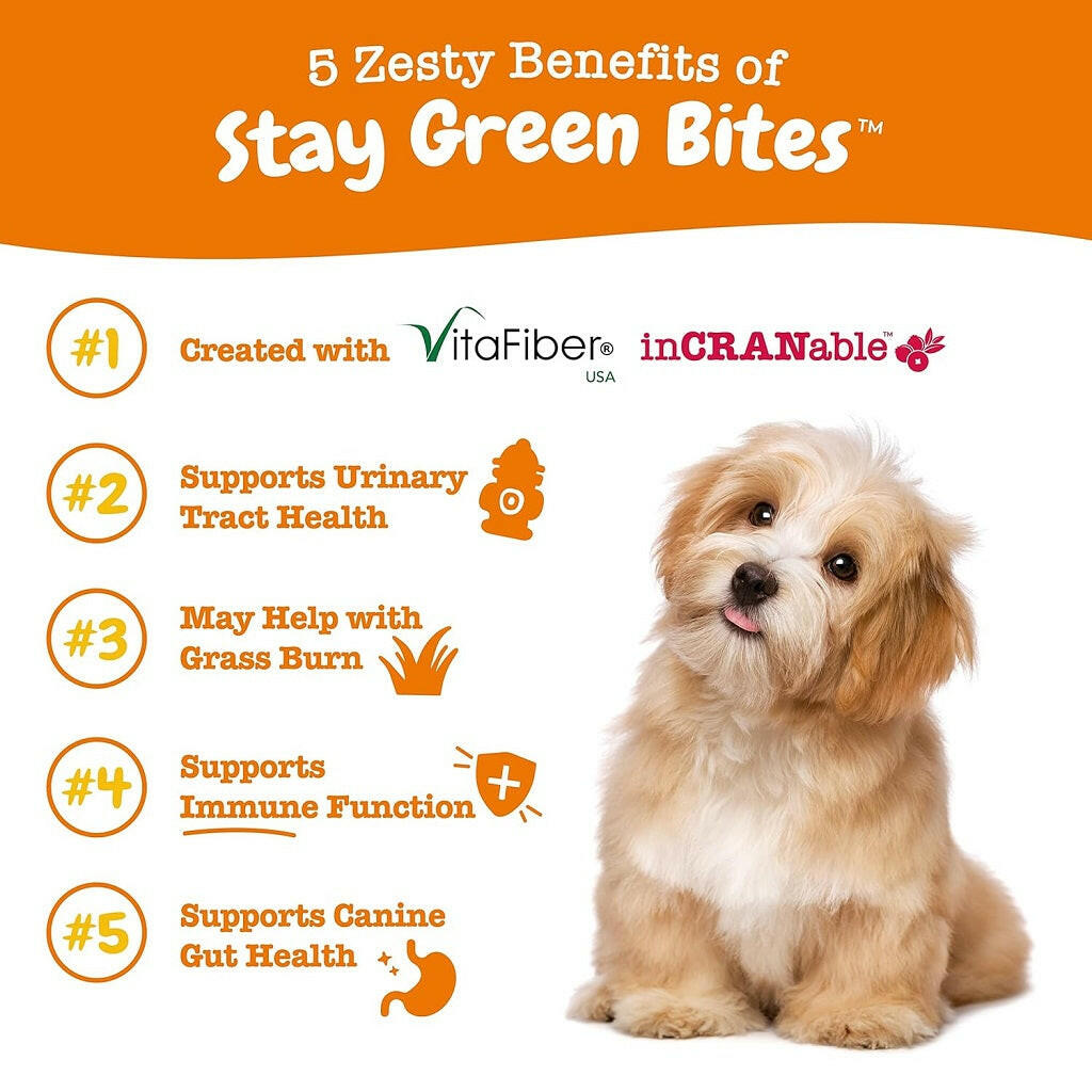 Zesty Paws Stay Green Bites Chicken Chews – photo 2 of 8
