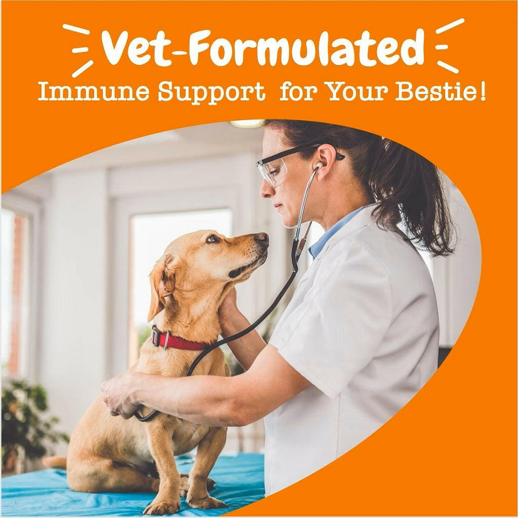 Zesty Paws Vet Strength Aller-Immune Bites Smoked Cheese – photo 8 of 9
