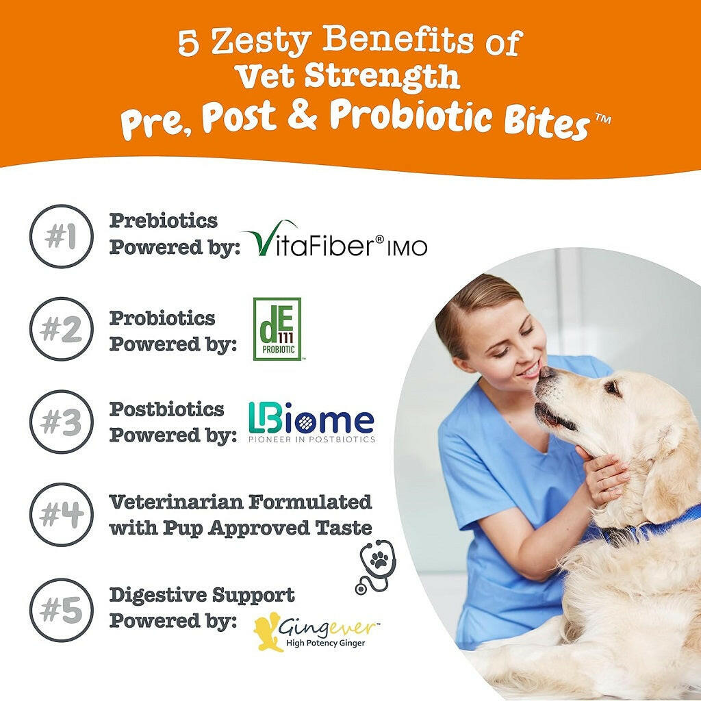 Zesty Paws Vet Strength Pre Pro Postbiotics Bites – photo 2 of 8