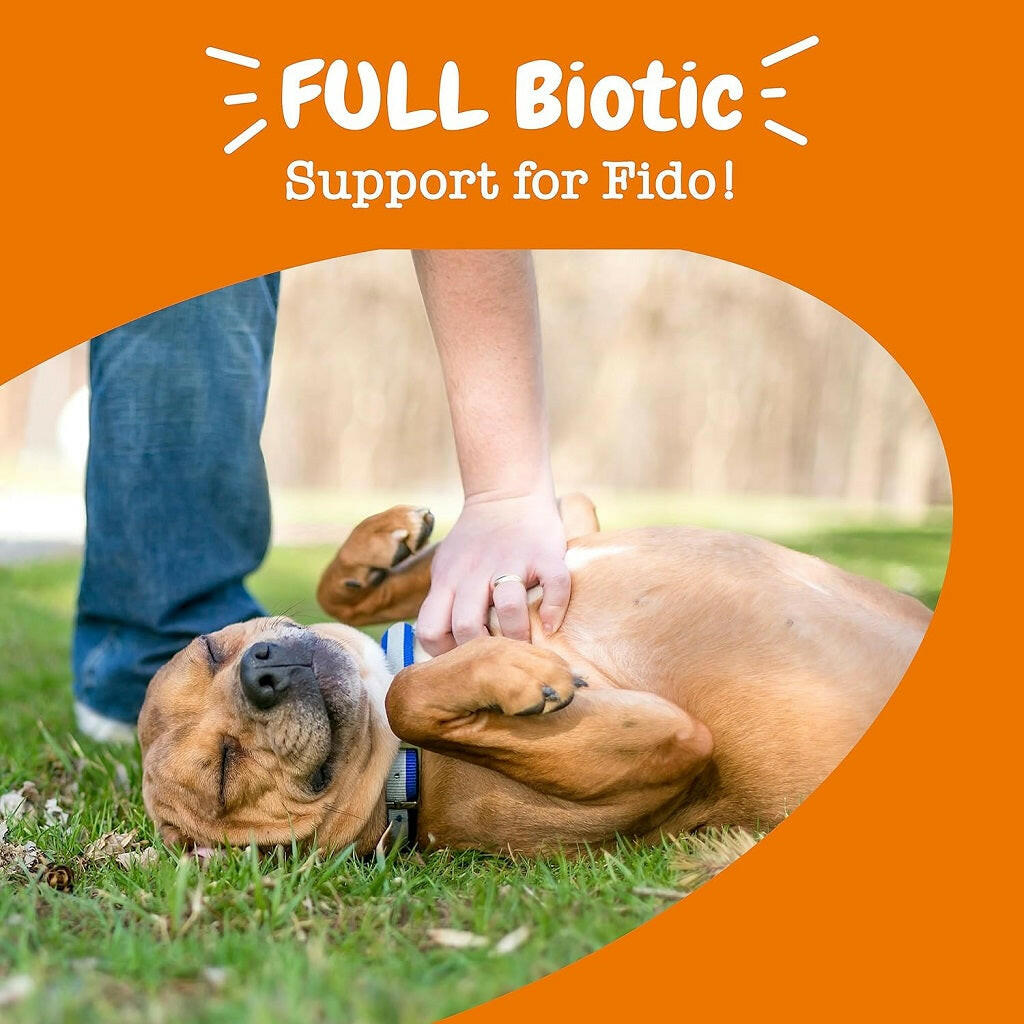 Zesty Paws Vet Strength Pre Pro Postbiotics Bites – photo 7 of 8